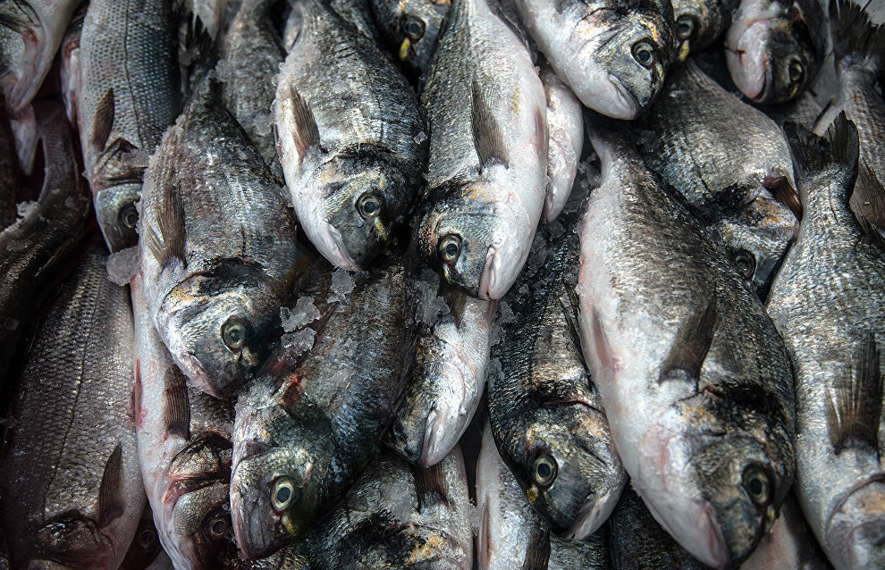 В 2016 году в ЯНАО выловили более 9 т рыбы