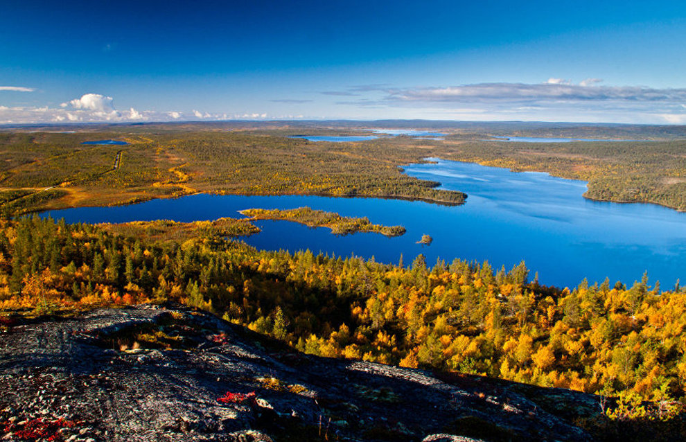 The Pasvik Nature Reserve