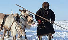 Yamal reindeer herders to get legal assistance in their native languages