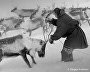 Sergei Anisimov’s photos of Yamal residents