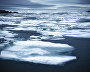 Льды прижало к югу Новой Земли. Июль 2015