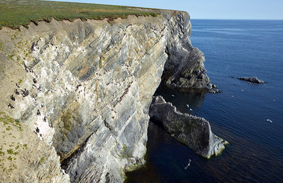 Novaya Zemlya’s shale shoreline is sometimes covered with thin, newly formed layers of soil. 2016