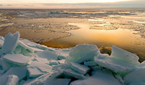 Объём льда в Арктике уменьшился до рекордного за 38 лет уровня