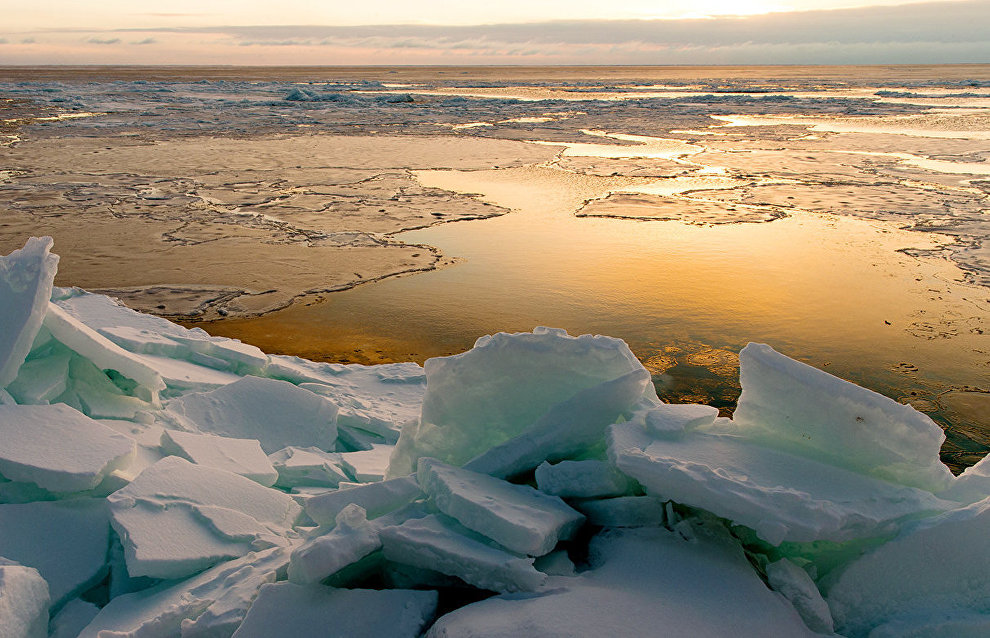 Объём льда в Арктике уменьшился до рекордного за 38 лет уровня