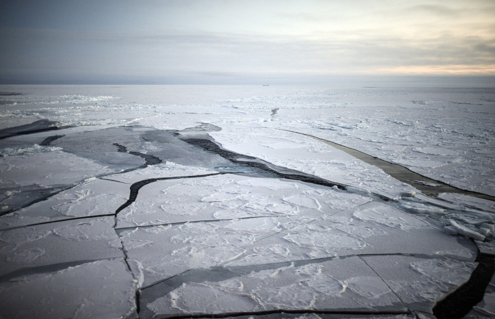 СМИ: Лёд в Арктике может исчезнуть в 2100 году