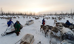 На Ямале проходит экспедиция по стойбищам оленеводов, факториям и отдалённым селам