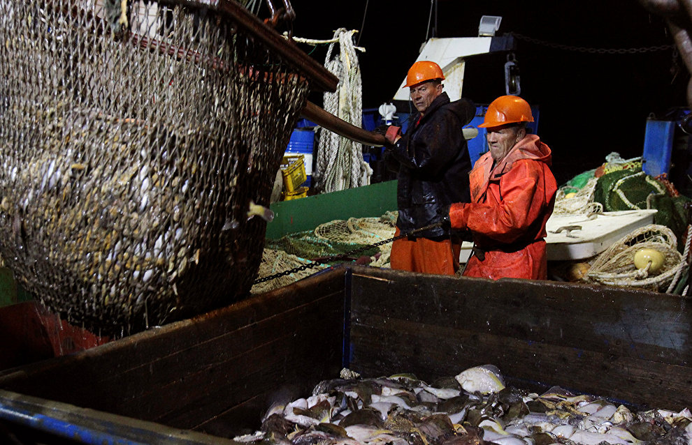 Federal Agency for Fishery: A new organization may be created to regulate Arctic fishing