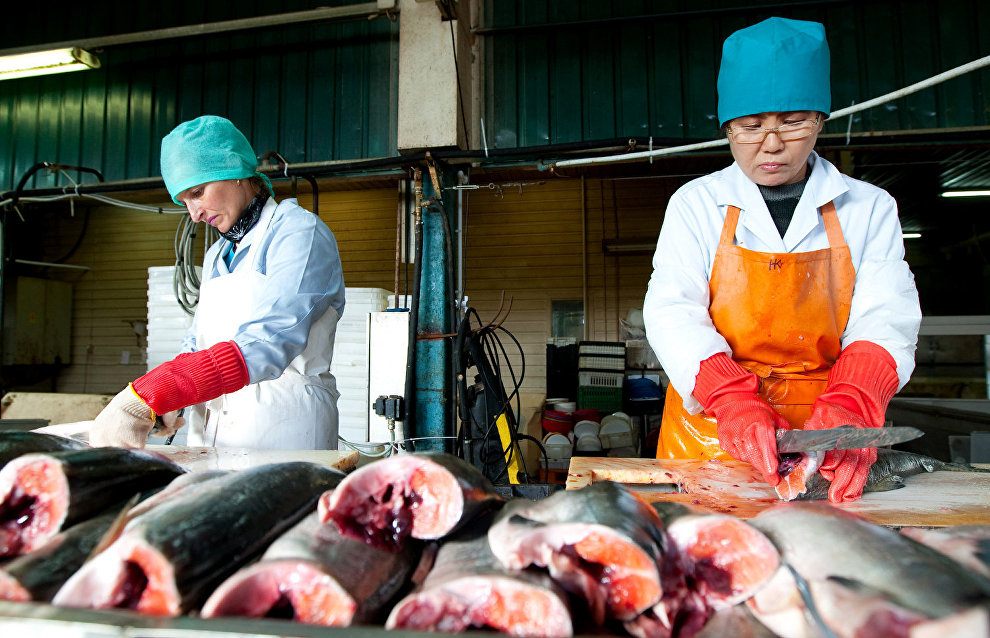 Governor Kovtun: Shore-based fish processing plants are working below capacity