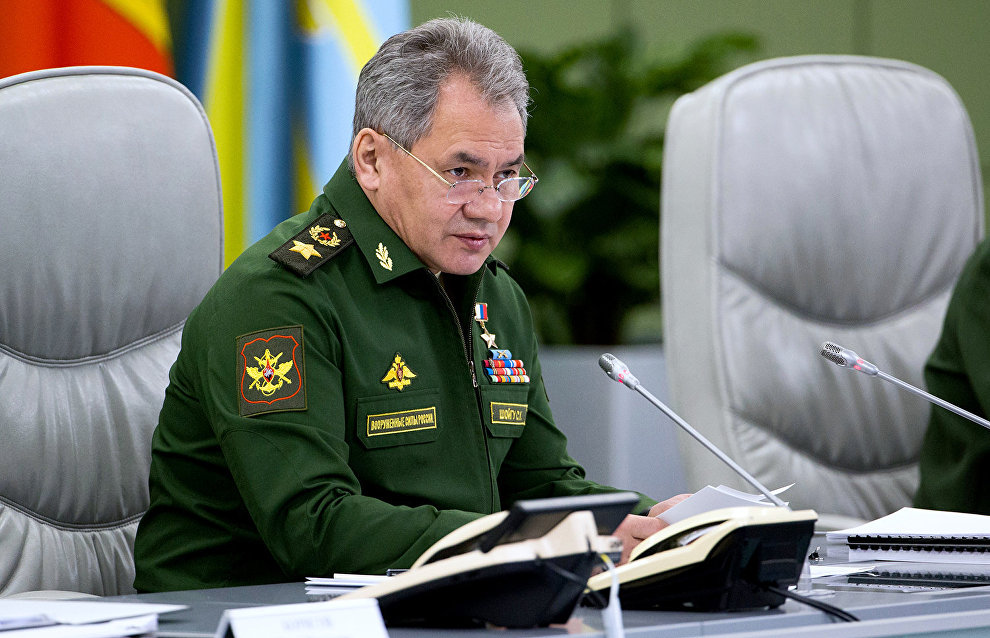 Shoigu: Russia is reopening Arctic airfields under transport and tourist plans