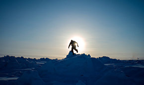 Arctic marathon: 42 km in the snow