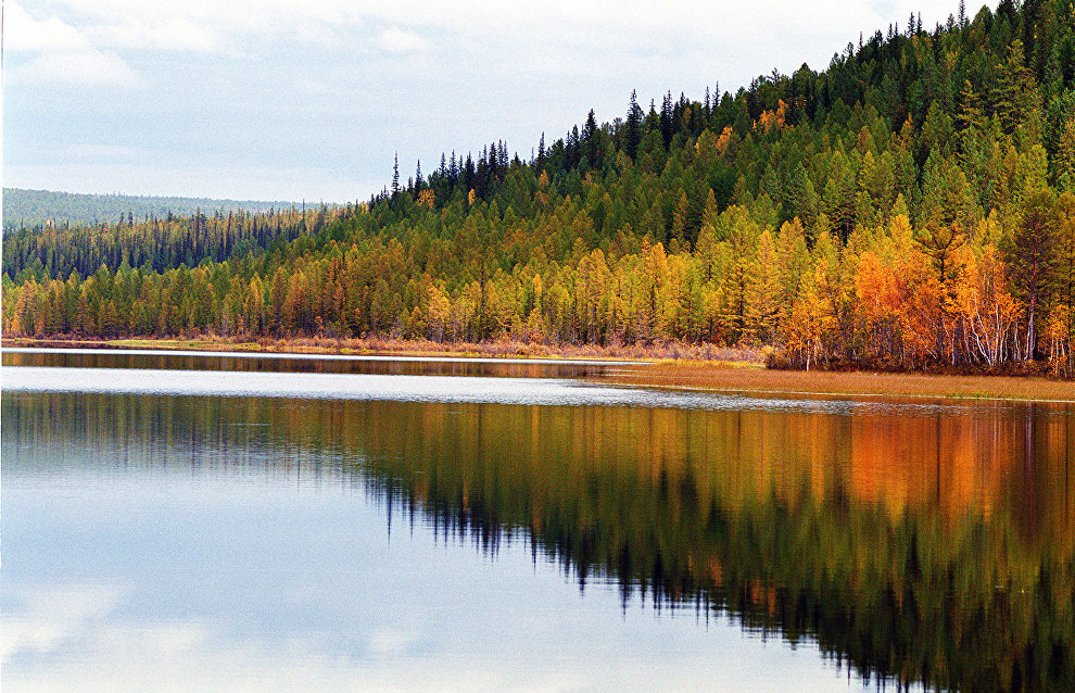 First stage of studying lakes in Purovsky District of Yamal-Nenets Autonomous Area completed

