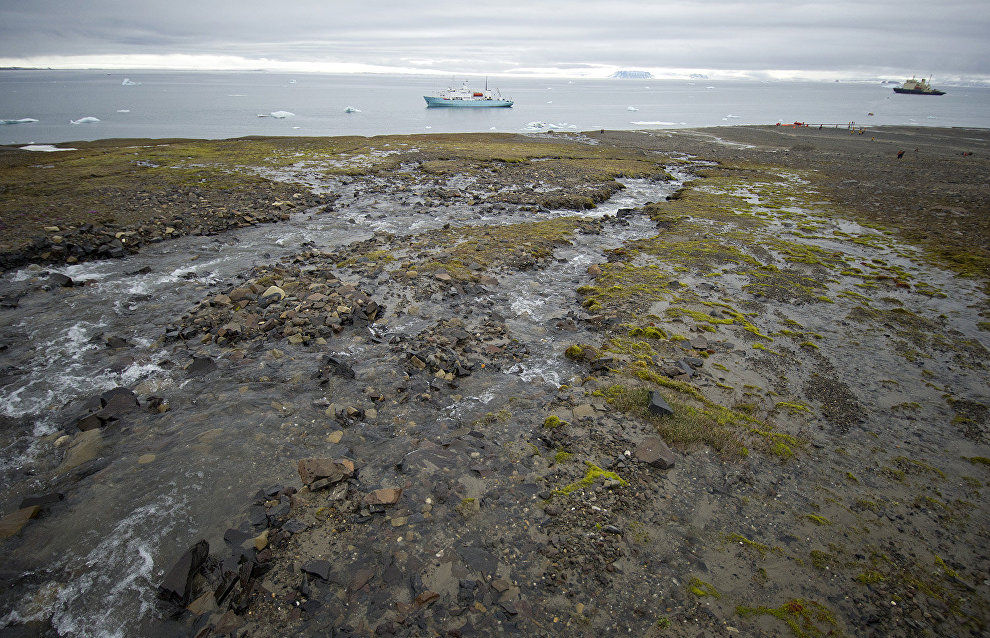 Стала известна научная программа экспедиции «Арктический плавучий университет» на 2022 год