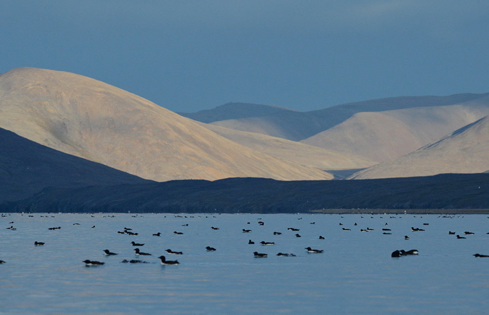 The Eastern Military District to remove 215 tonnes of scrap metal from Wrangel Island in 2023