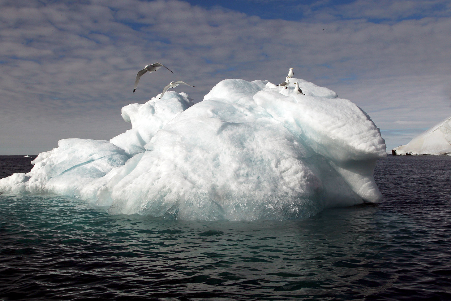 An iceberg in the waters of the Franz Josef Land Archipelago