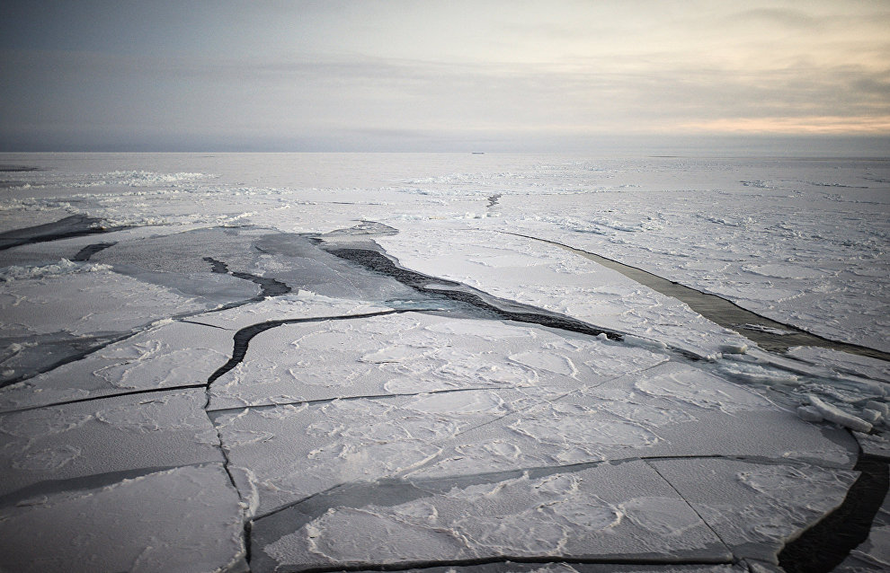 Учёные объяснили холодное лето в России таянием льда в Северном Ледовитом океане