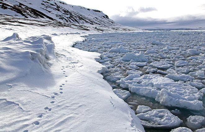 Темпы потепления в арктической зоне в 3,7 раза превышают среднемировые