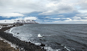 Закон о развитии Арктики могут внести в правительство после выборов