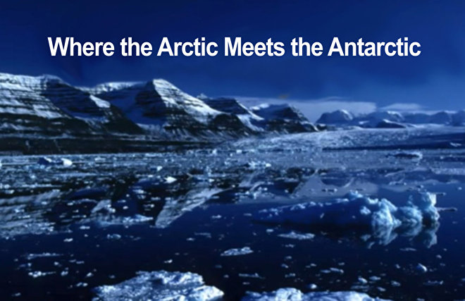 Where the Arctic Meets the Antarctic