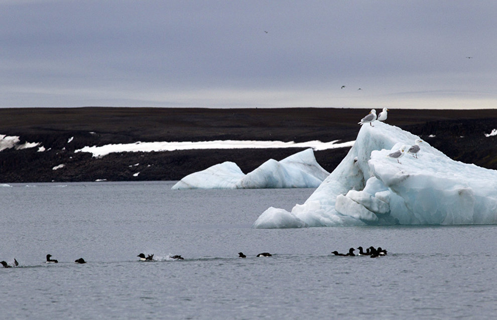 Российские учёные оценили количество льда в Арктике и Антарктике

