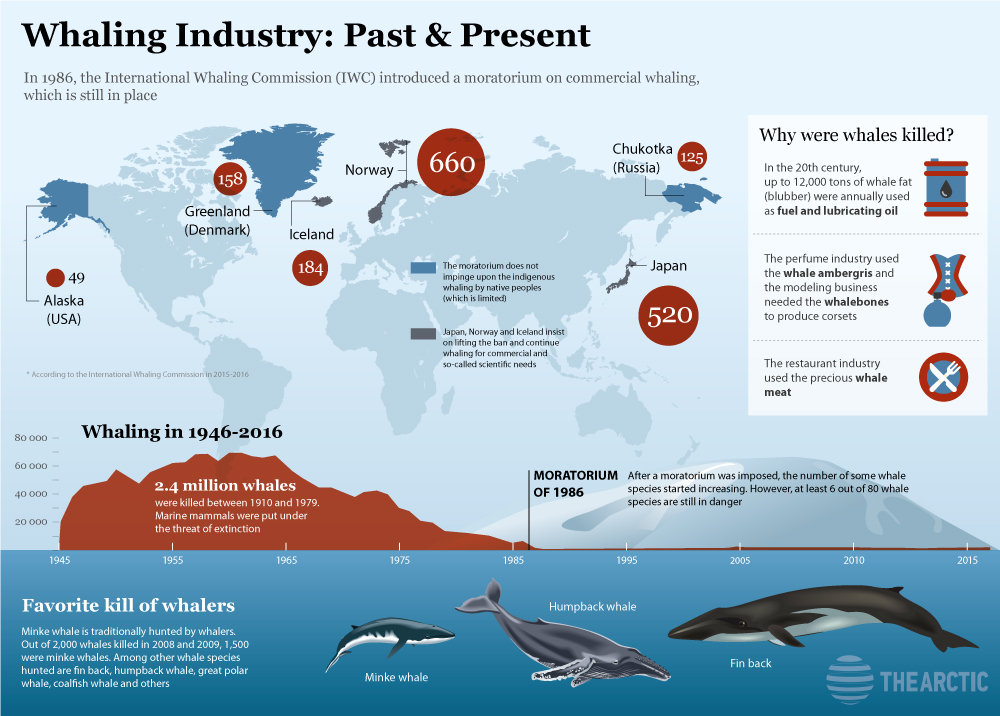 Whaling Industry: Past & Present
