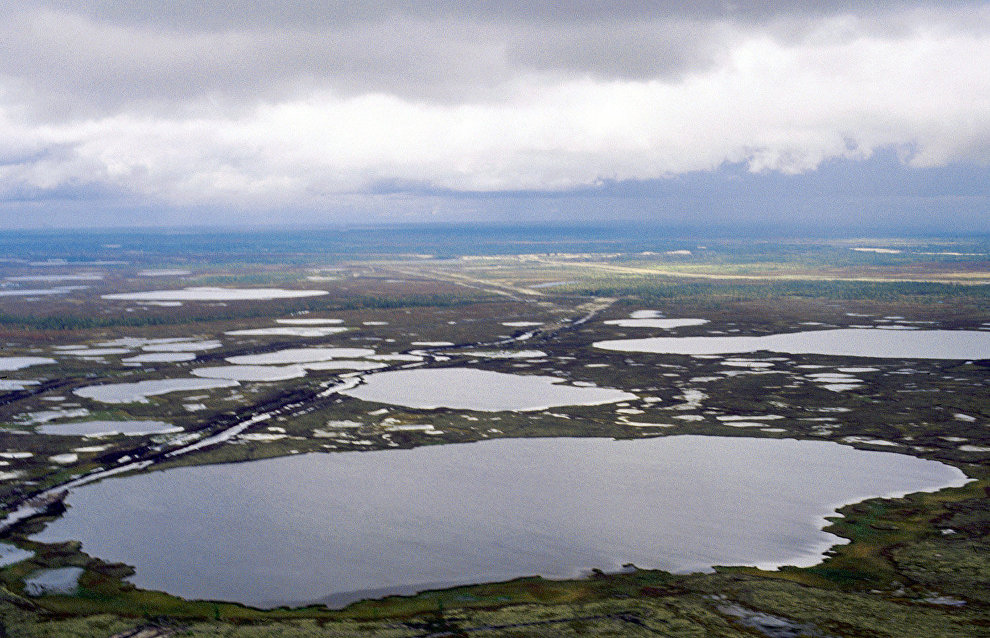 Минвостокразвития подготовит план адаптации Арктики к климатическим изменениям