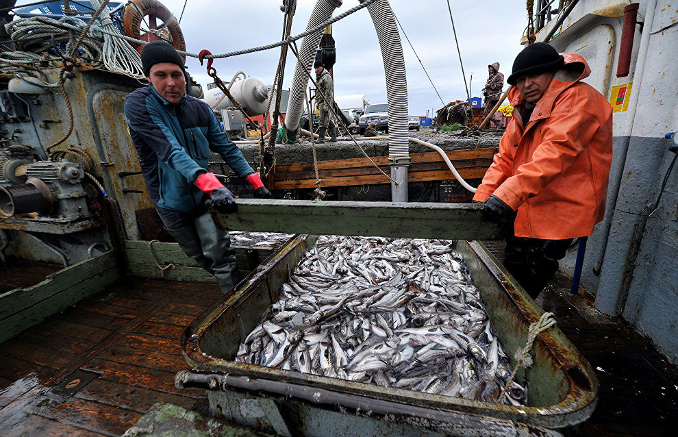 Russian Government approves the draft agreement on the prevention of unregulated high seas fishing in the Arctic