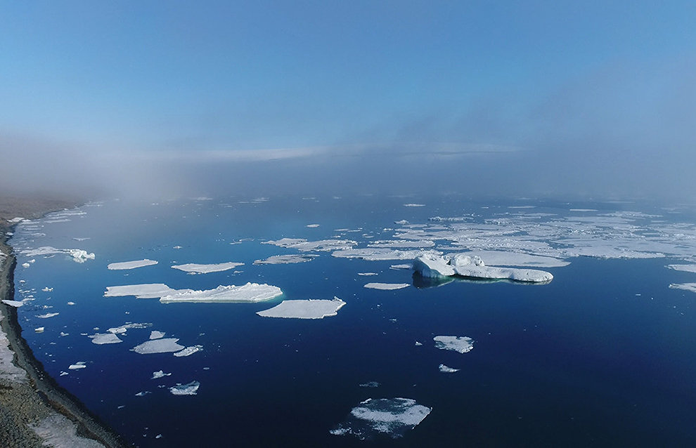 Rosreestr to chair international Arctic project in 2021