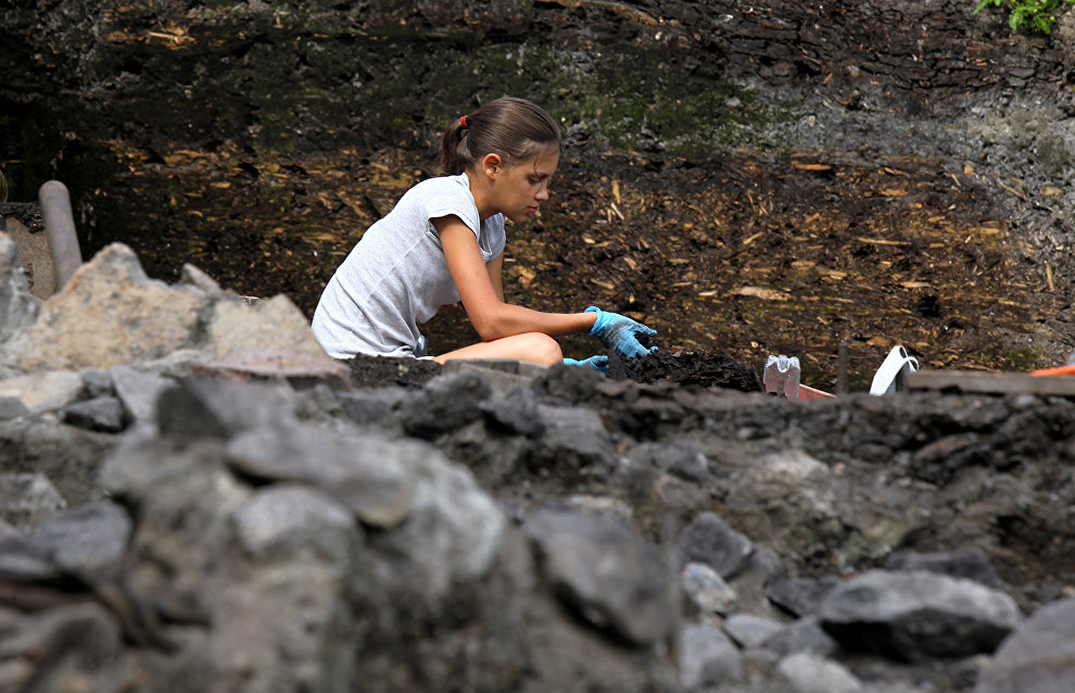На Аляске обнаружили предка опоссума, который жил 69 миллионов лет назад