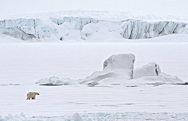 New state work-safety standard includes polar bear encounters

