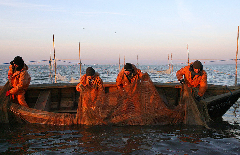 Росрыболовство может провести аукцион для начала добычи крабов в Карском море