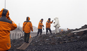 В сфере туризма реализуется больше всего проектов резидентов Арктической зоны России