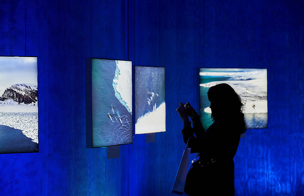 A young woman at a photo exhibition held as part of the 9th International Forum The Arctic: Today and the Future, in St. Petersburg