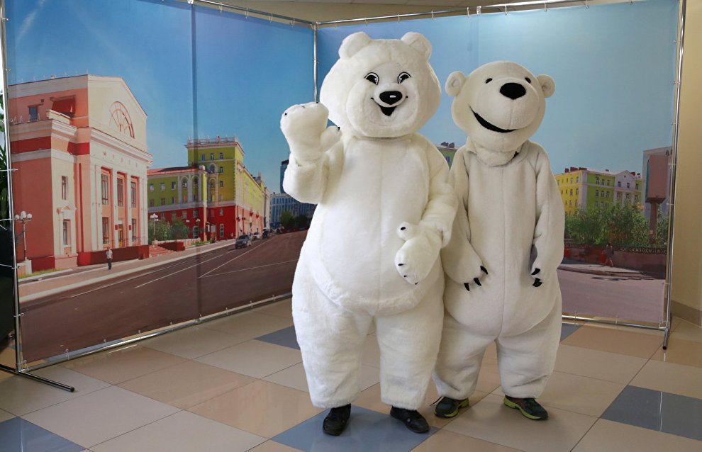 The Bely Mishka (Polar Bear) educational center was established in Norilsk with support of the Arctic Development Project Office. The center will teach first- and second-grade school students how important it is to preserve polar bears