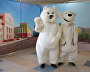 При участии ПОРА в Норильске был открыт просветительский центр «Белый мишка», где детям первых и вторых классов будут рассказывать о важности сохранения белого медведя