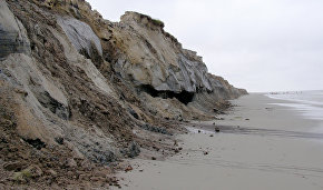 Thermal abrasion coast of Bely Island, the Kara Sea