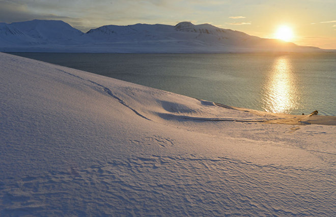 Where are the glaciers going? Scientists to find out why the landscape of Spitsbergen is changing