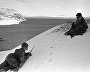 Советские разведчики наблюдают за боевой обстановкой. Полуостров Рыбачий, Северный фронт