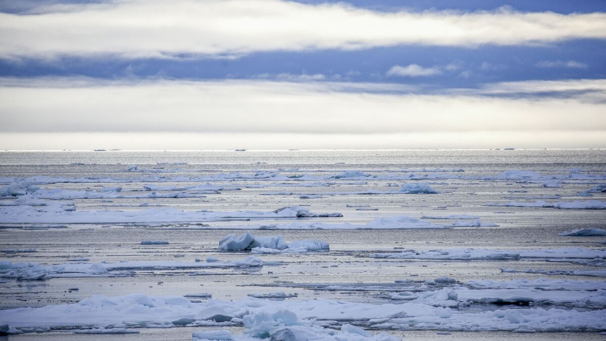 МГУ выпустил новый атлас-монографию об Арктике