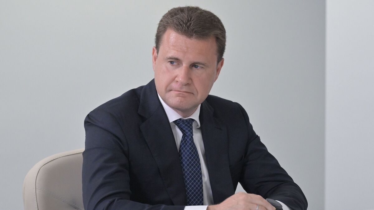 Министр Российской Федерации по развитию Дальнего Востока и Арктики Алексей Чекунков