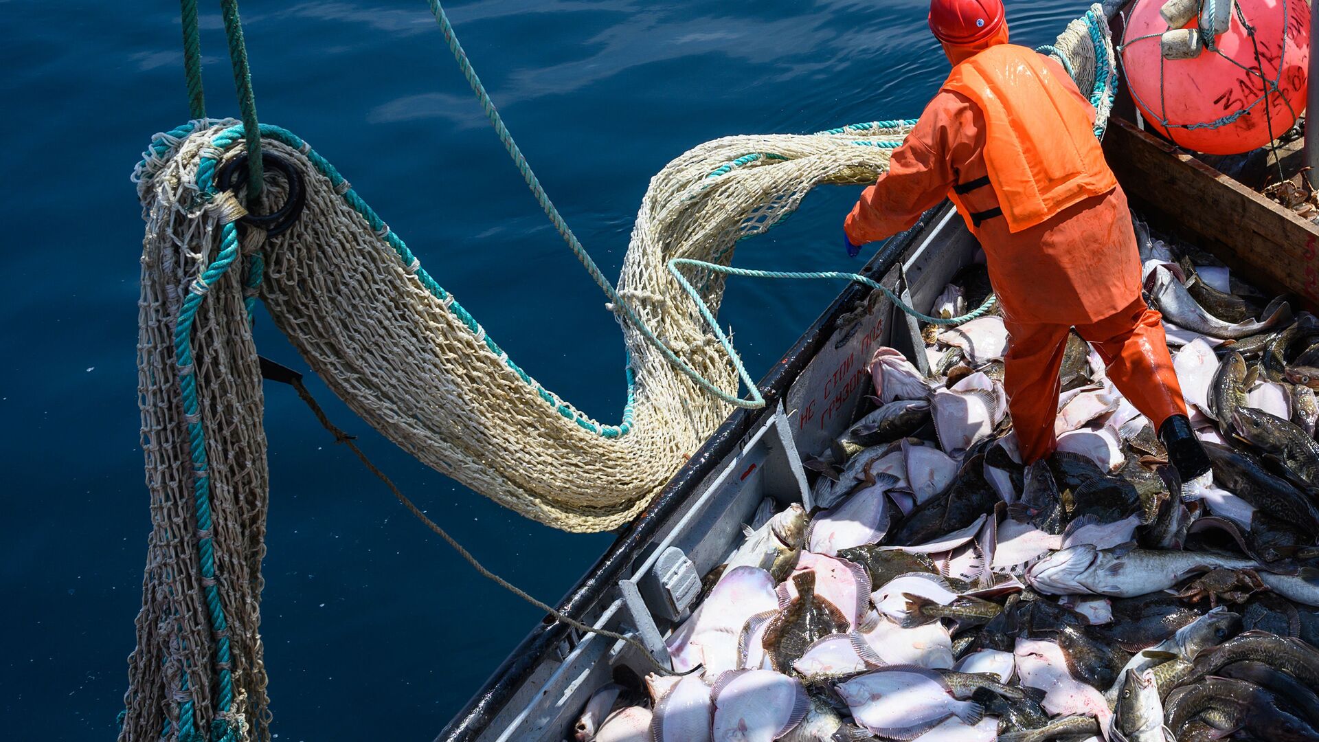 Выборка сети во время добычи рыбы  - РИА Новости, 1920, 18.09.2025