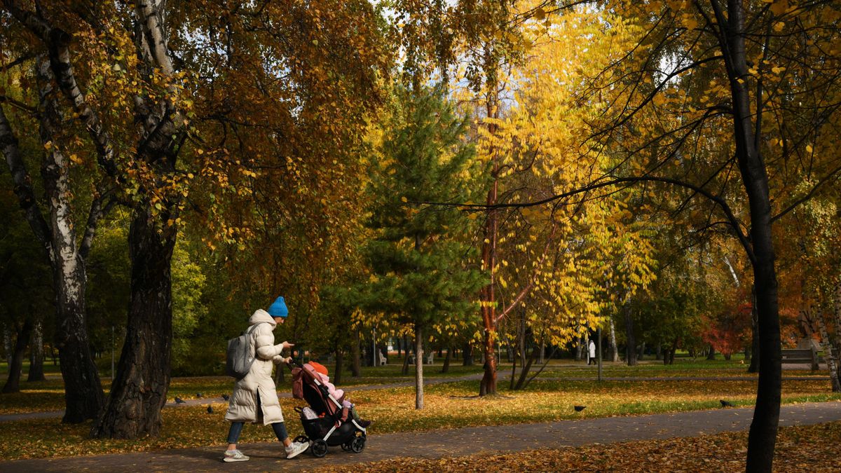 Женщина с коляской во время прогулки в сквере 