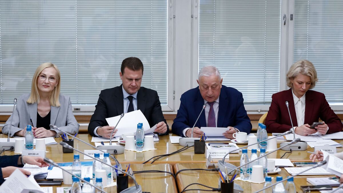Заседание Комитета по развитию Дальнего Востока и Арктики