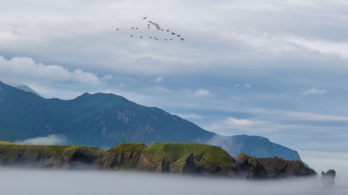 Мыс Тигровый и Новокурильская бухта острова Уруп (остров южной группы Большой гряды Курильских островов)