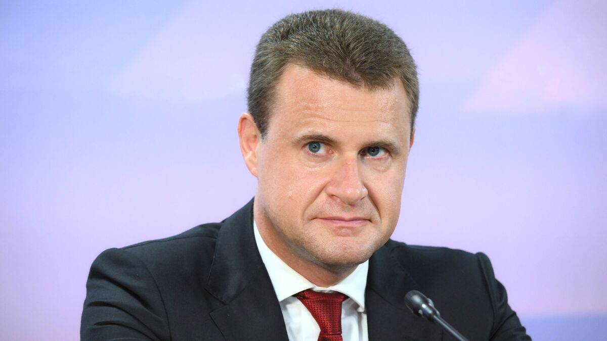 Министр Российской Федерации по развитию Дальнего Востока и Арктики Алексей Чекунков 