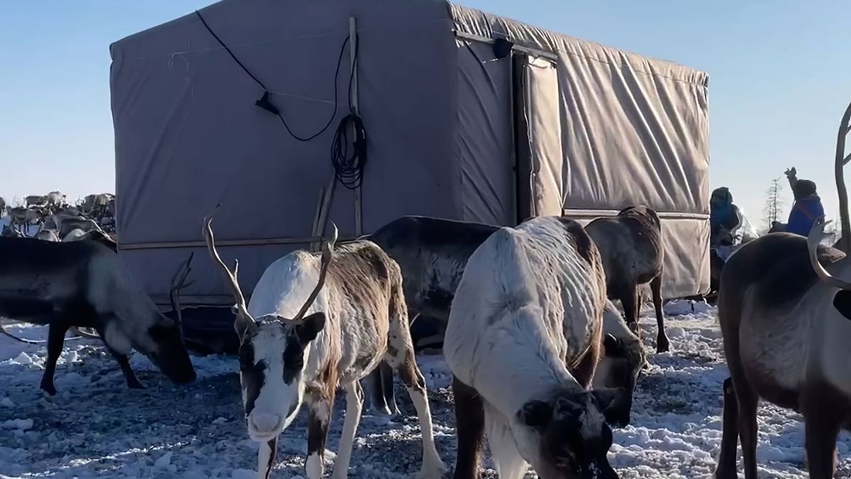 Передвижной жилой дом