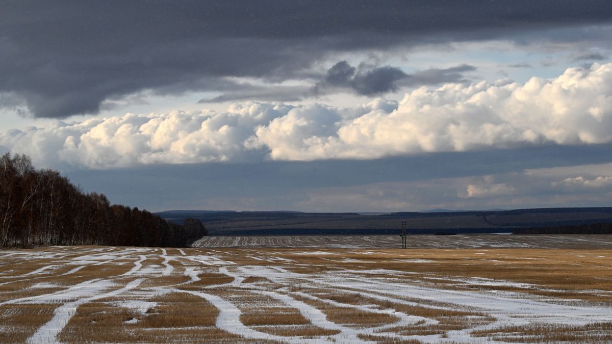 Вид на территории Красноярского края