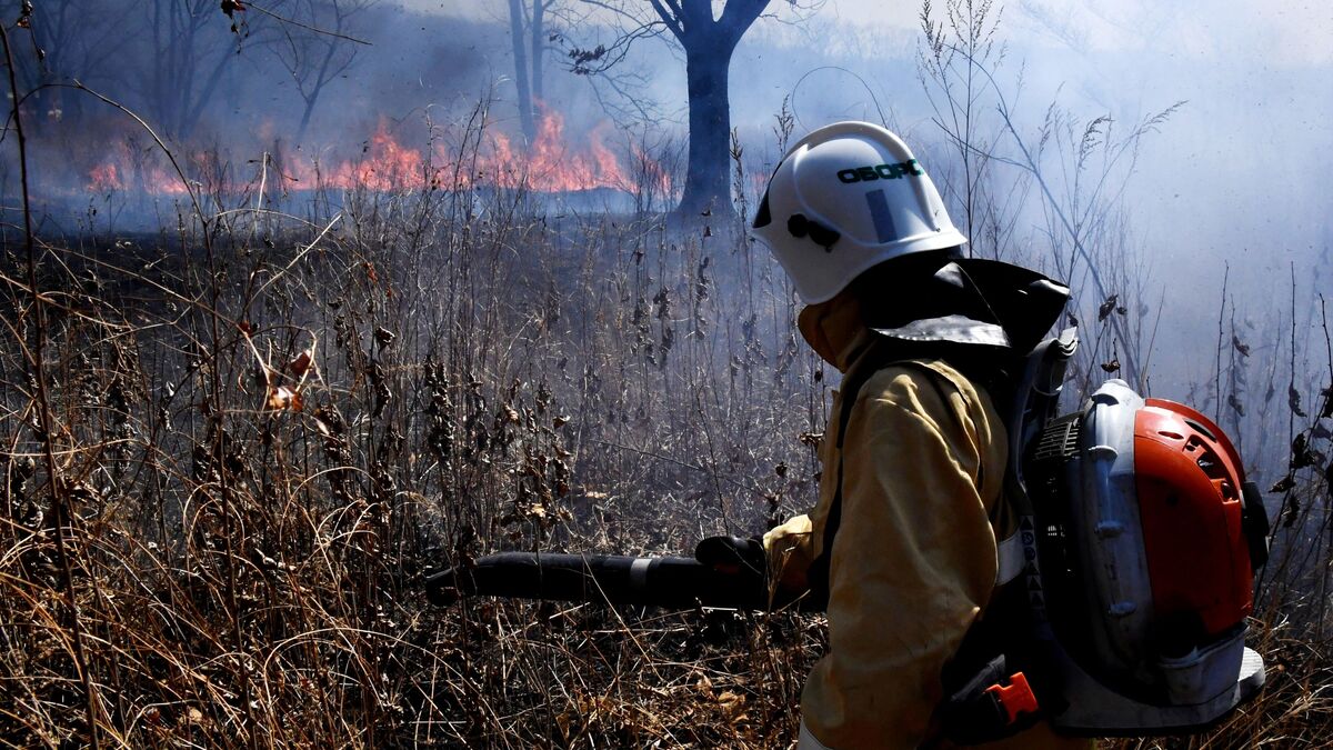 Сотрудник пожарной охраны МЧС РФ во время краевых комплексных учений по отработке тактики и техники тушения лесных пожаров