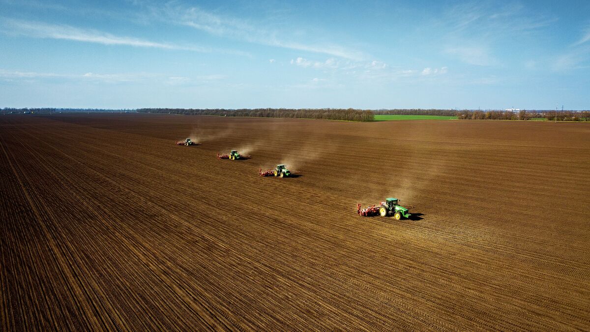 Сельскохозяйственные работы на полях