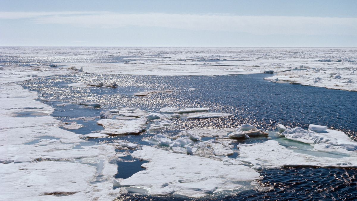 Море Лаптевых