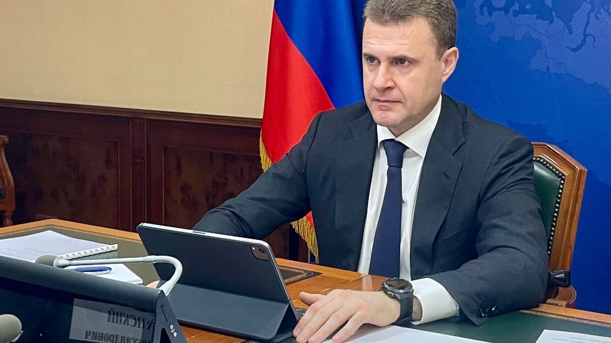 Глава Минвостокразвития Алексей Чекунков на совещании по организации северного завоза